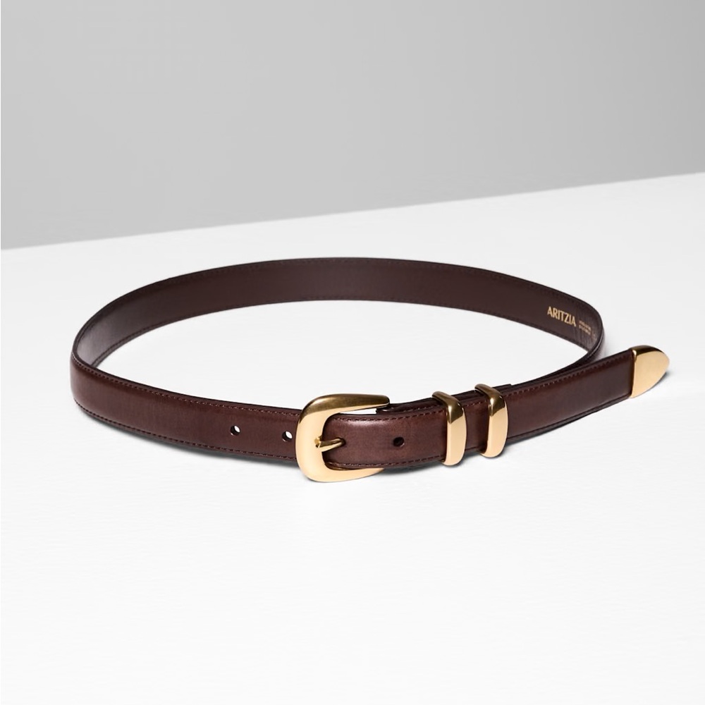 Aritzia Legendary Solid Brass Leather Belt